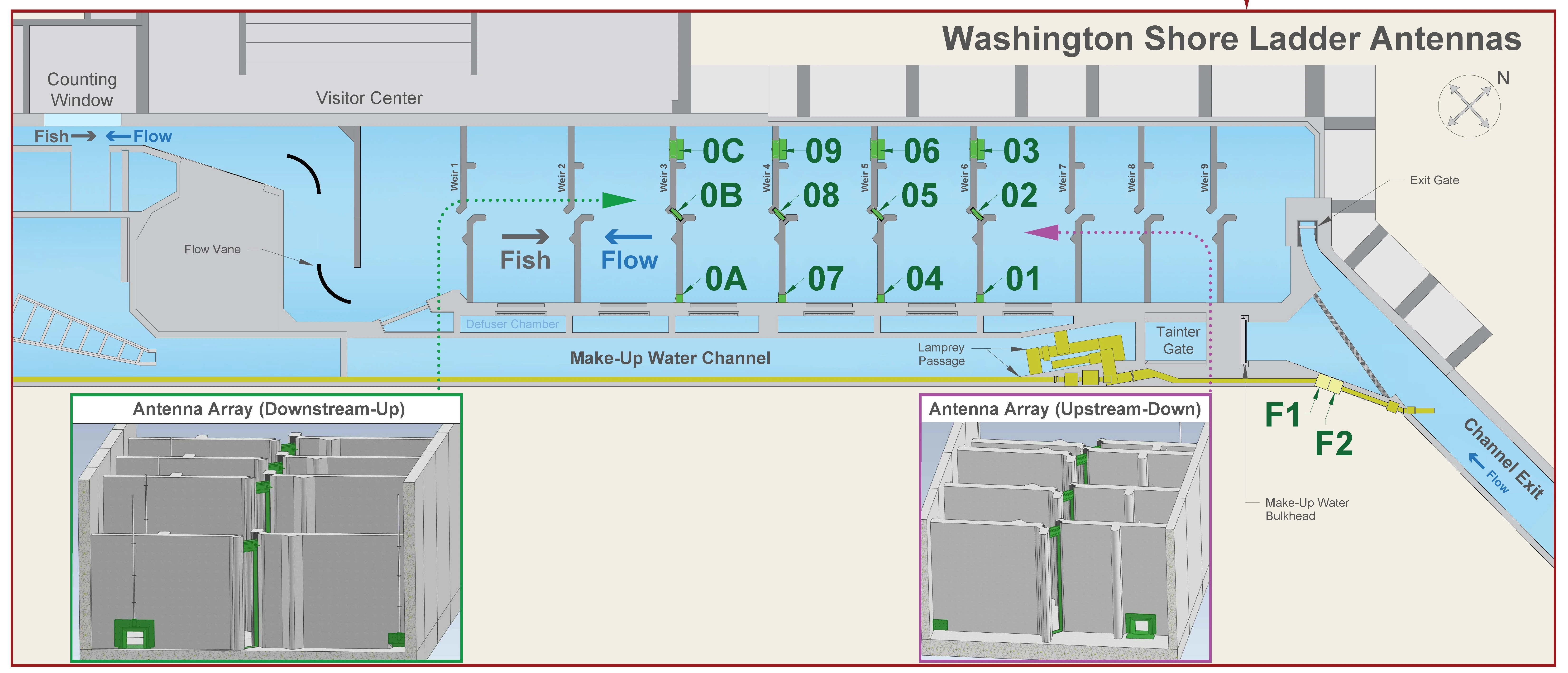 Partial diagram for interrogation site BO1