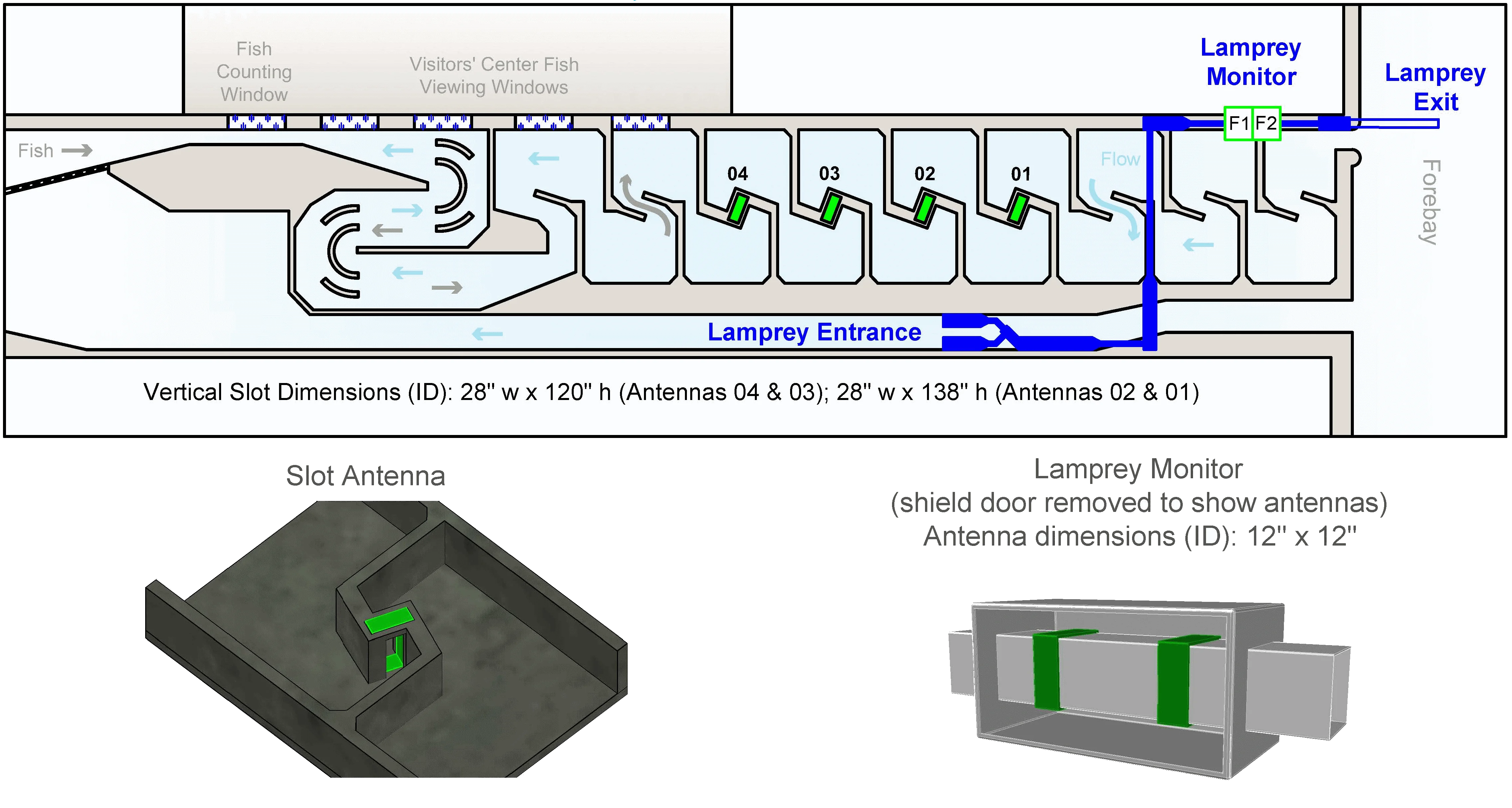 Partial diagram for interrogation site BO1