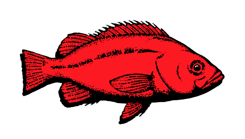 Pacific States Marine Fisheries Commission Logo link to open a new window to PSMFC.org